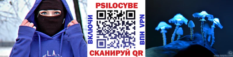Псилоцибиновые грибы Psilocybe  купить наркотики цена  Жигулёвск 