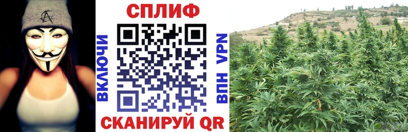 Марихуана тримм  Жигулёвск 